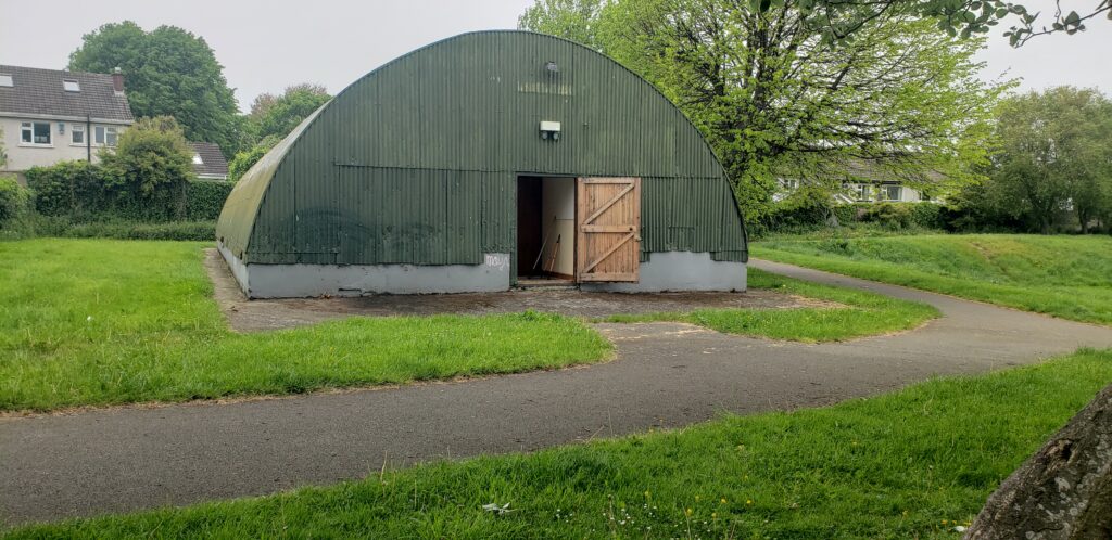 The 17th Dalkey Scout Den